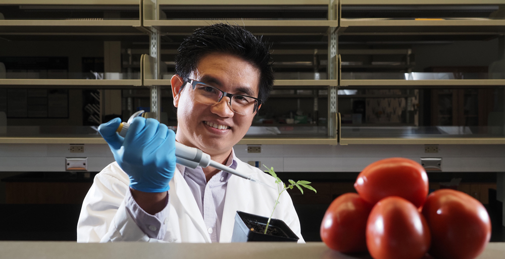 Dr. Tuan Tran, assistant professor of biology at the ý, was awarded a $40,000 grant by the USDA and the Alabama Department of Agriculture and Industries to study a soil-based bacterium causes wilt in crops such as tomatoes, peppers and potatoes. 